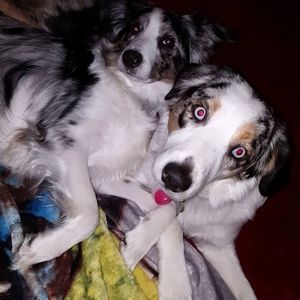 Meet your Posher, Annette